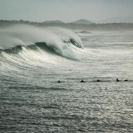 House By The Sea - 3 Bedrooms And Possibility To Rent A Boat Ferienhaus