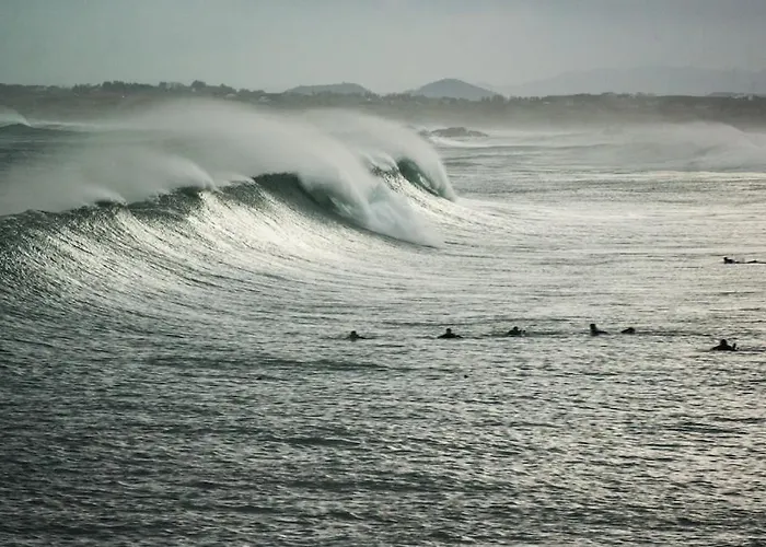 House By The Sea - 3 Bedrooms And Possibility To Rent A Boat Feriehus